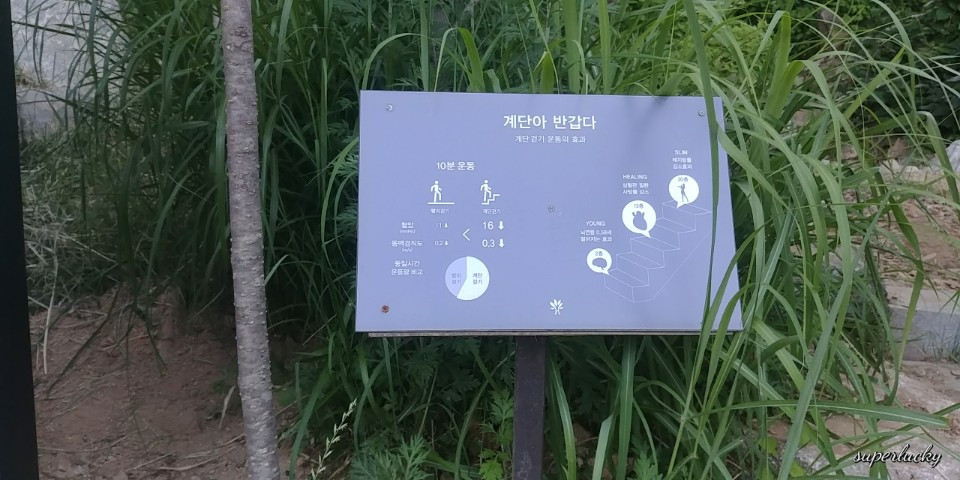 KakaoTalk_20180614_112134529.jpg