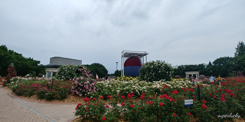 KakaoTalk_20180609_200742464.jpg