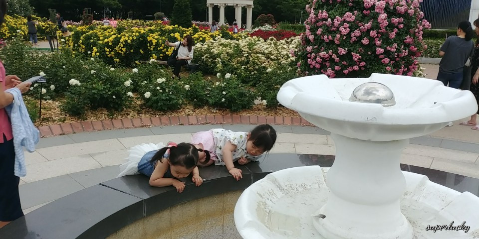KakaoTalk_20180609_200743043.jpg