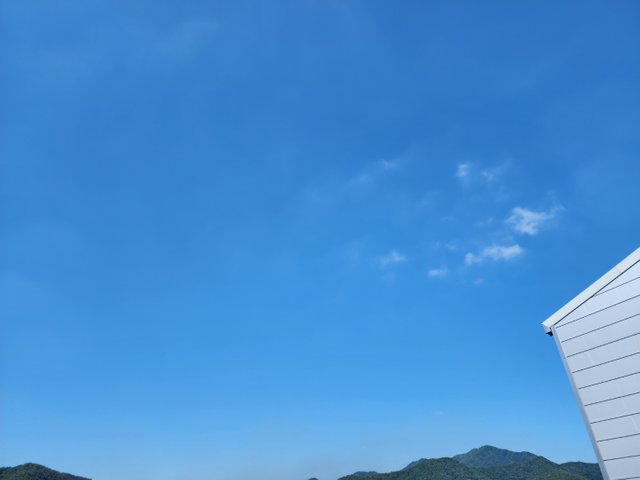 KakaoTalk_20220929_141548571.jpg