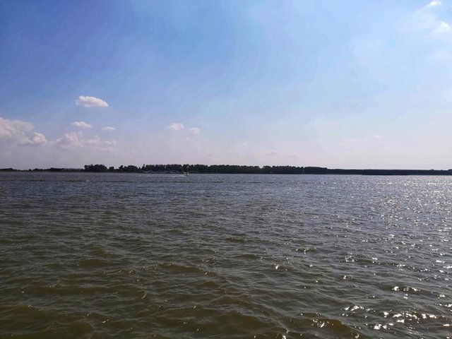 received_484796505359411-01.jpeg