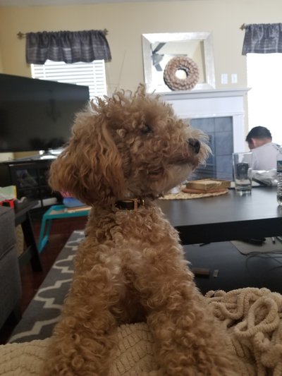 KakaoTalk_20180610_122812161.jpg