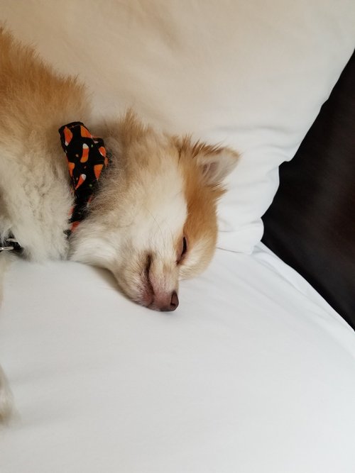 KakaoTalk_20181020_070900381.jpg
