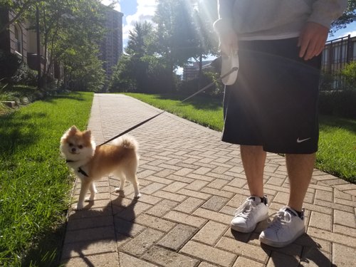 KakaoTalk_20181013_144031448.jpg