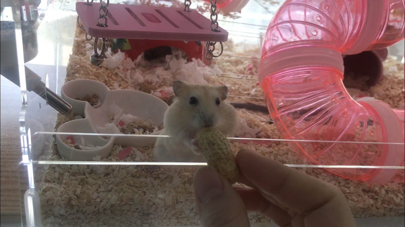 KakaoTalk_20190515_172033497.png