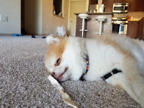 KakaoTalk_20181013_144039161.jpg