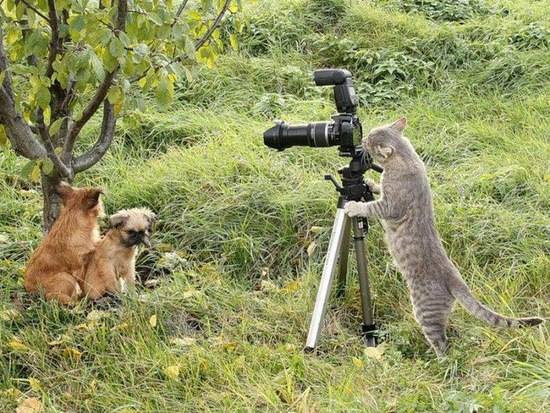 Pic of the day Lol...jpg