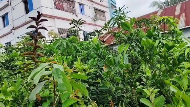 VideoCapture_20260816-201721.jpg