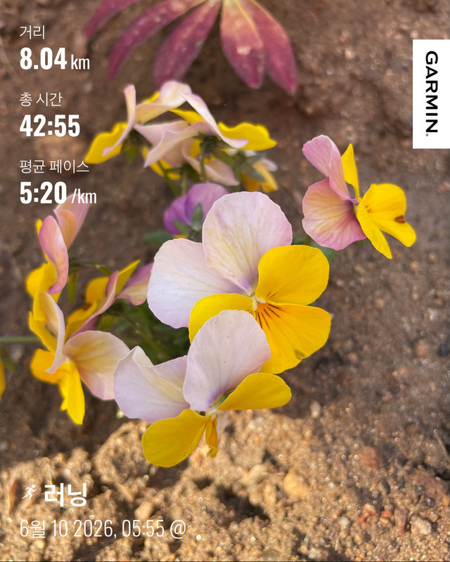 KakaoTalk_20260610_071304872.jpg