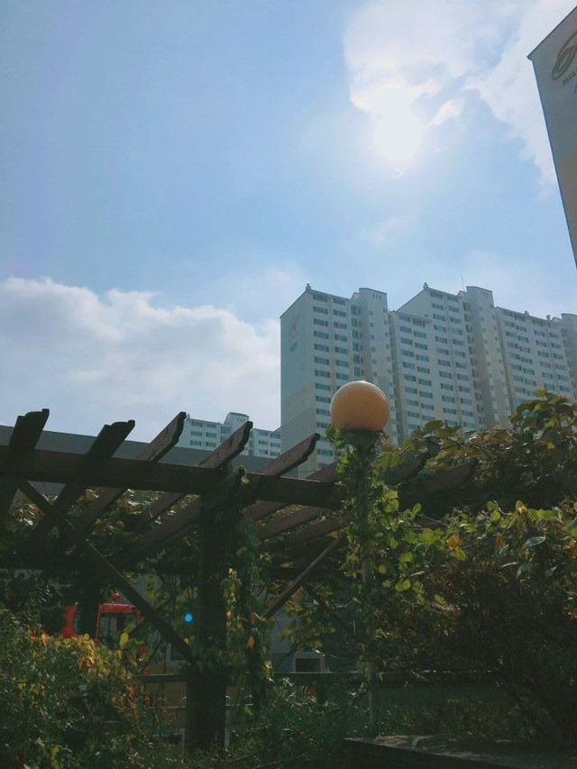 KakaoTalk_20180108_155707786.jpg