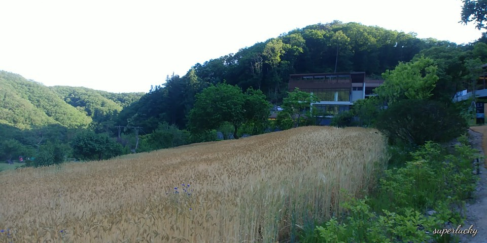 KakaoTalk_20180614_112132508.jpg