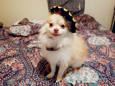 KakaoTalk_20181015_183757783.jpg