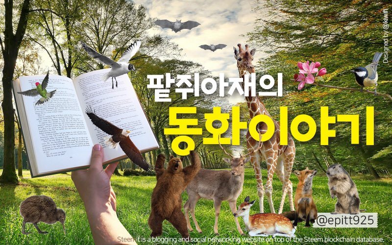 KakaoTalk_20190322_214003437.jpg