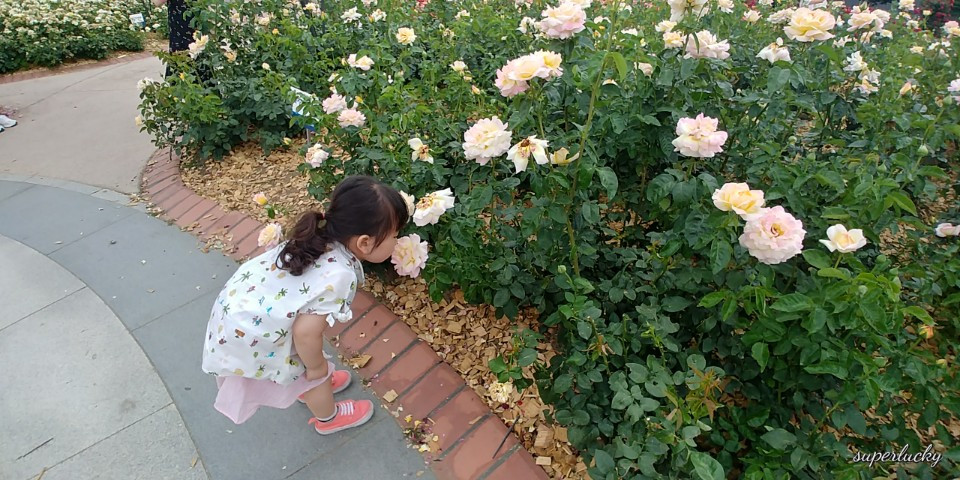 KakaoTalk_20180609_200742835.jpg