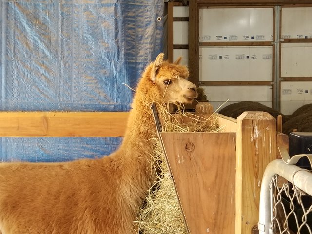 KakaoTalk_20180614_210355378.jpg