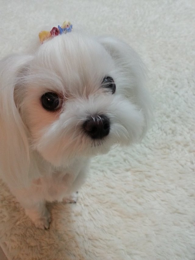 KakaoTalk_20210512_103802550.jpg