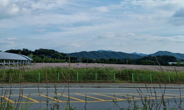 KakaoTalk_20210923_180858444.jpg