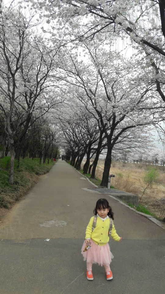 KakaoTalk_20180403_160508050.jpg