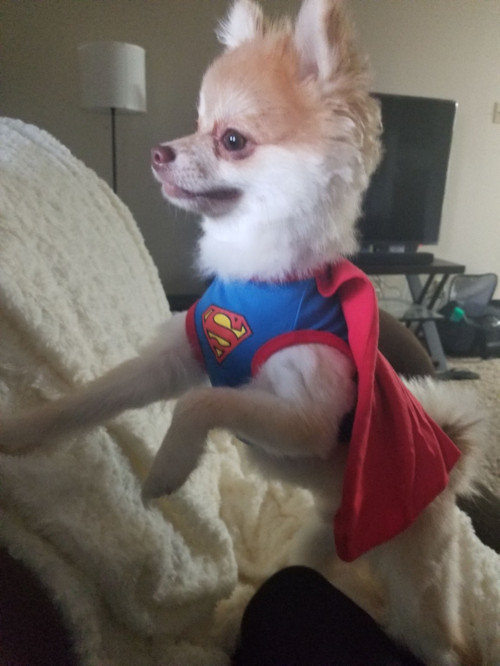 KakaoTalk_20171112_160318797.jpg
