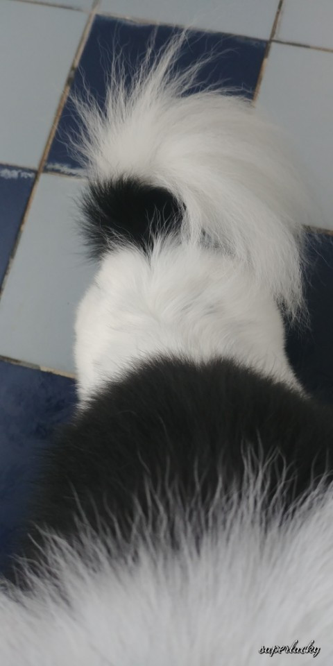 KakaoTalk_20180521_220926540.jpg