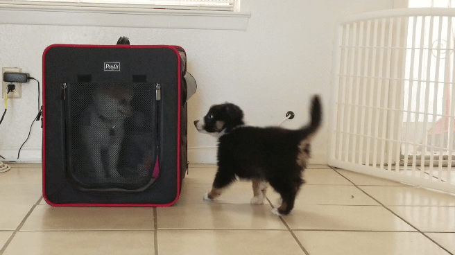 KakaoTalk_20180608_221757812.gif