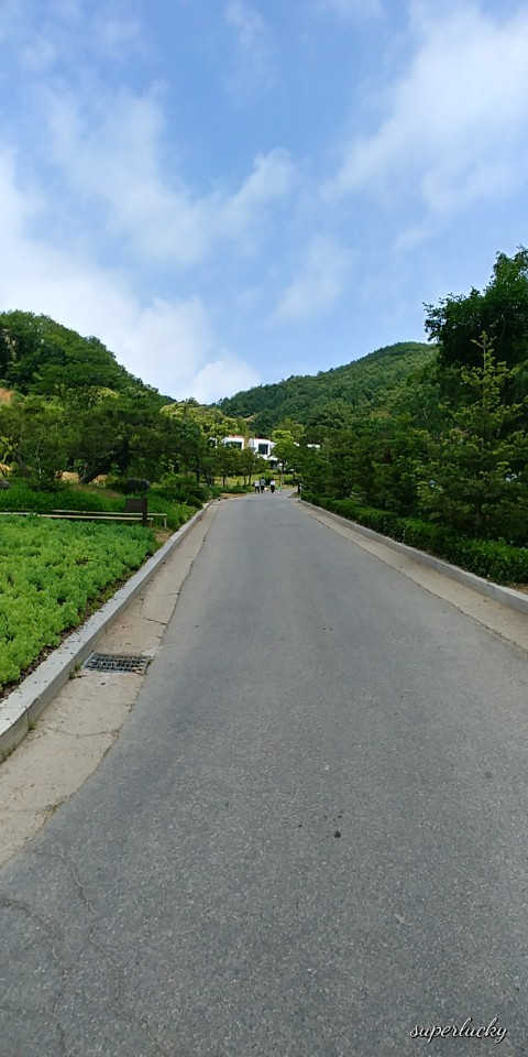 KakaoTalk_20180614_112012717.jpg