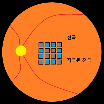 제목 없음.jpg