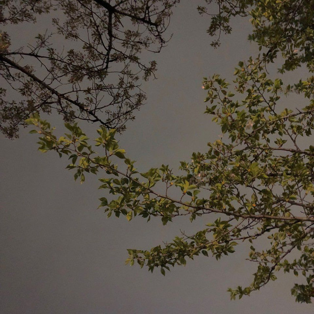 KakaoTalk_Photo_2018-04-14-15-45-27_53.jpeg