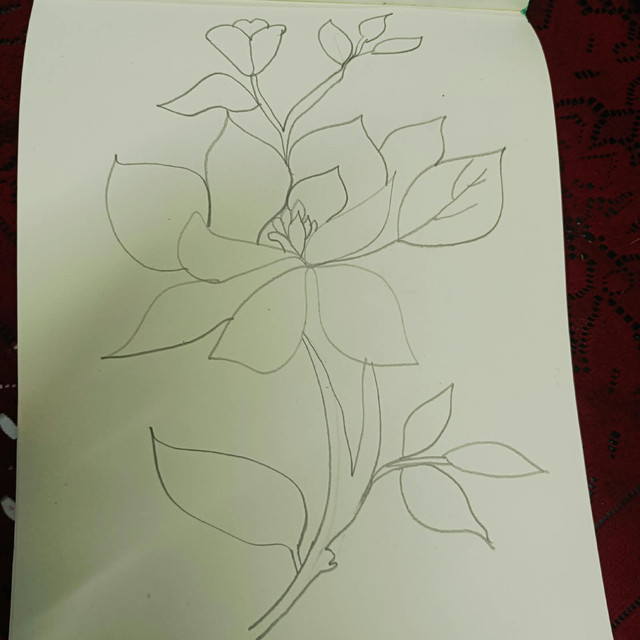 WhatsApp Image 2026-10-09 at 2.43.00 PM.jpeg