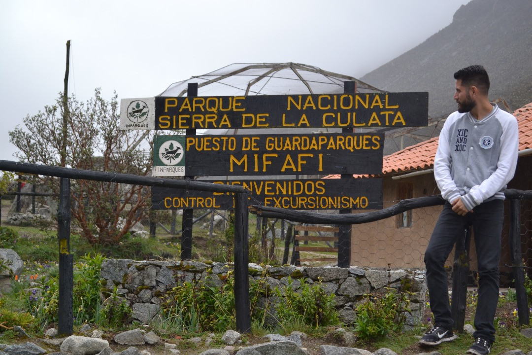 main_image