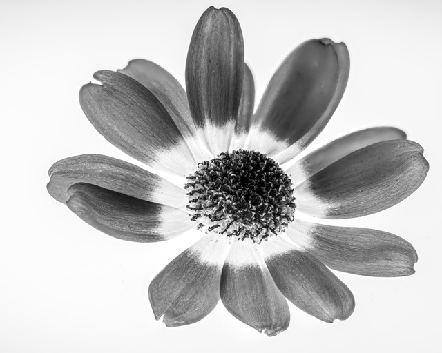 2020-10-09 15-08-52 (B,Radius5,Smoothing3).jpg