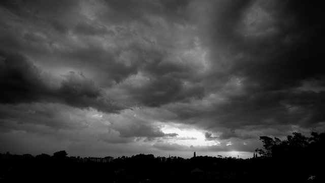 DSC02531b.jpg