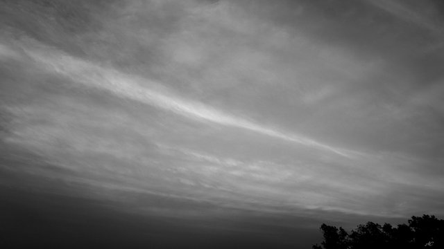 DSC05767b.jpg