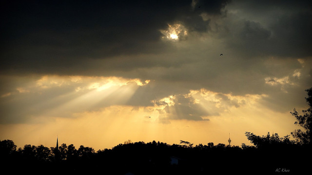 DSC03236b.jpg