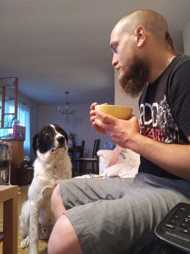 FYSER - Episode 01: Puritan Irish Stew — Steemit