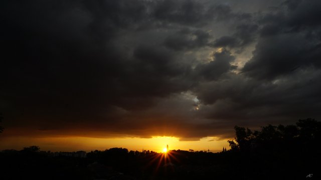 DSC05984b.jpg