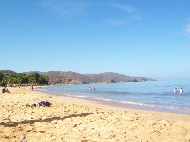c100_2867.jpg