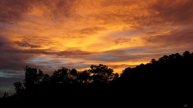 DSC07454b.jpg