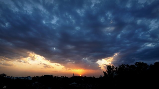 DSC06129b.jpg