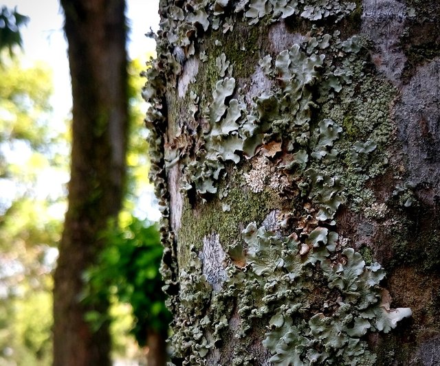 DSC_2531b.jpg