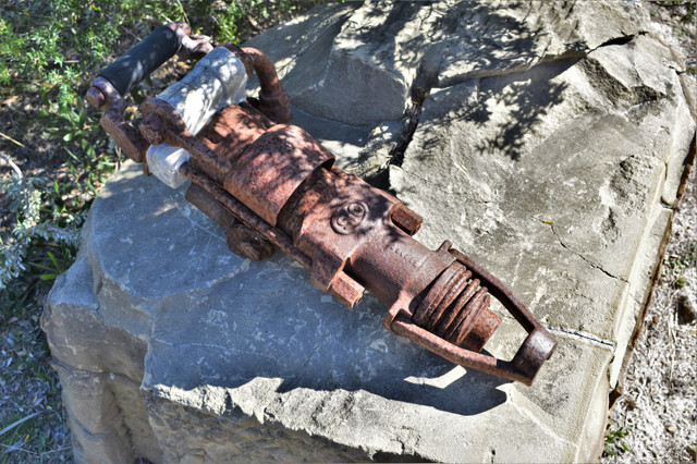 DSC_0446b.jpg