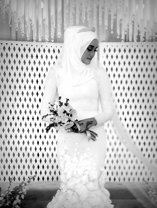 DSC_2640b.jpg