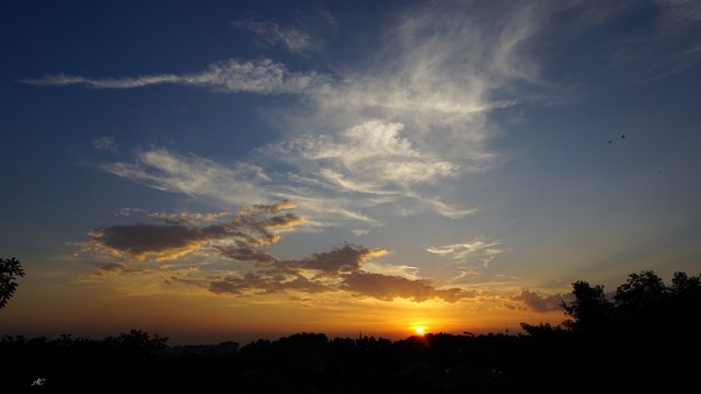 DSC02726b.jpg