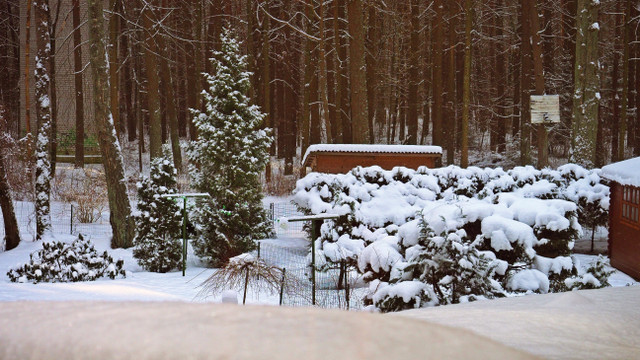 P3020226m.JPG