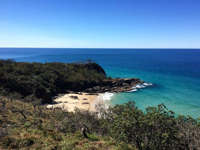 noosa 4.jpg