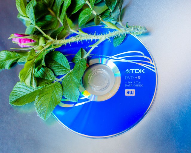 545.jpg