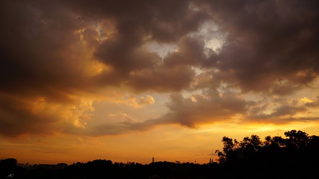 DSC02840b.jpg