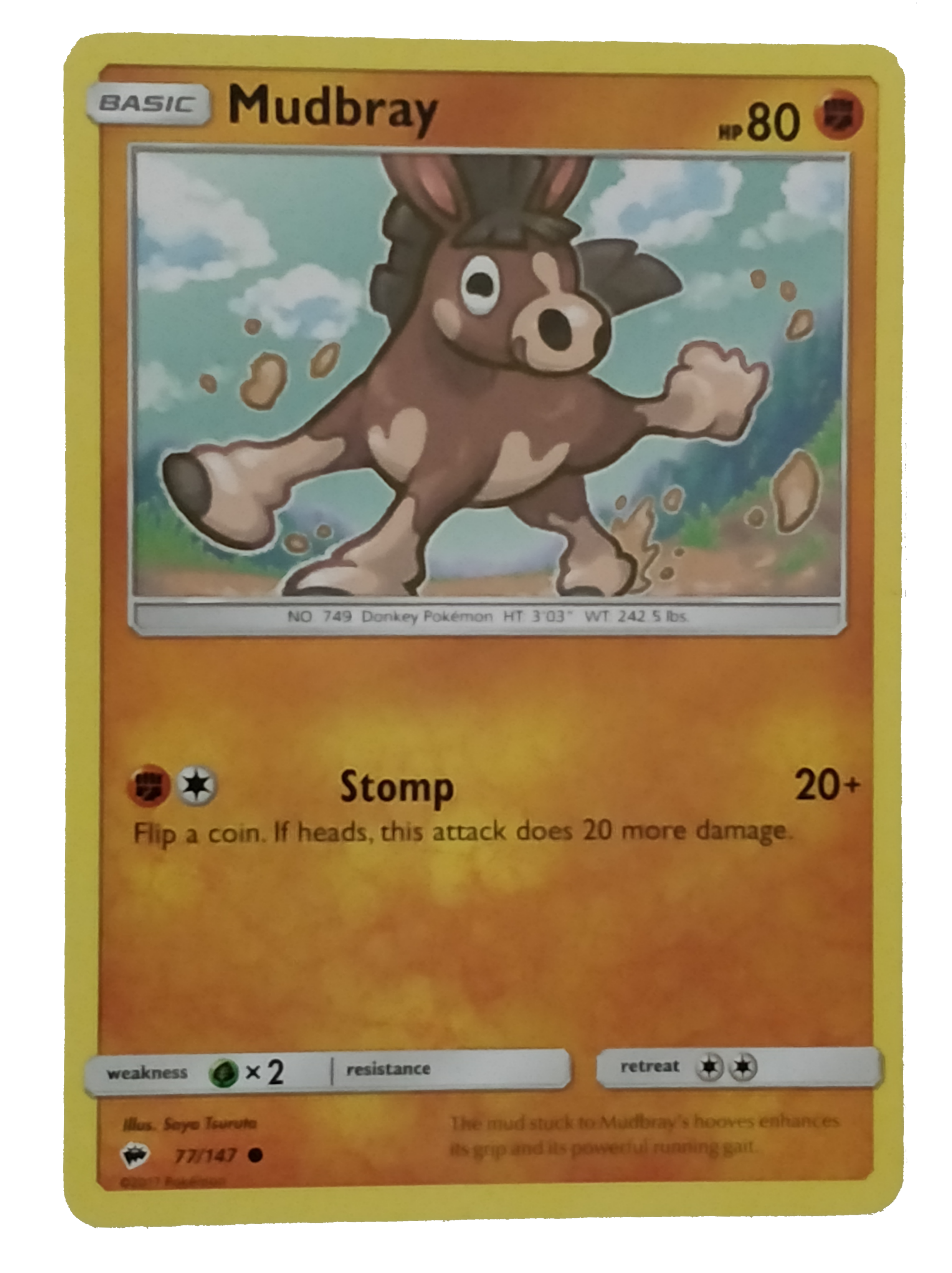 1-MUDBRAY.png