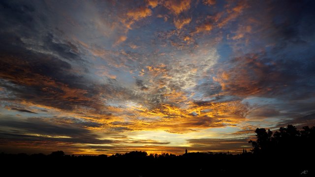 DSC01750b.jpg