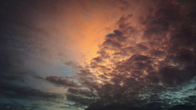 DSC07497b.jpg